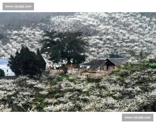 筠连历史文化底蕴深厚与自然景观融合的美丽魅力探析